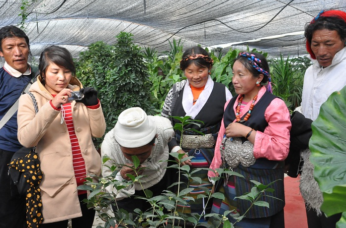 QQ截图20161217195220.png QQ截图20161217195220.png
